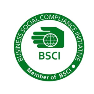 6 bsci audit