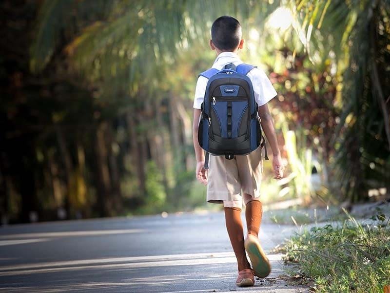 best backpacks for school buying guide of the new year