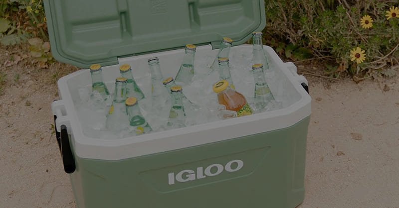 3. lgloo cooler bag