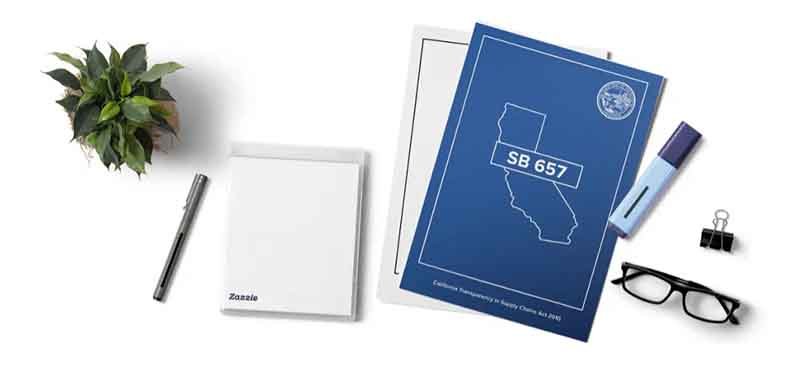 7. zazzle1