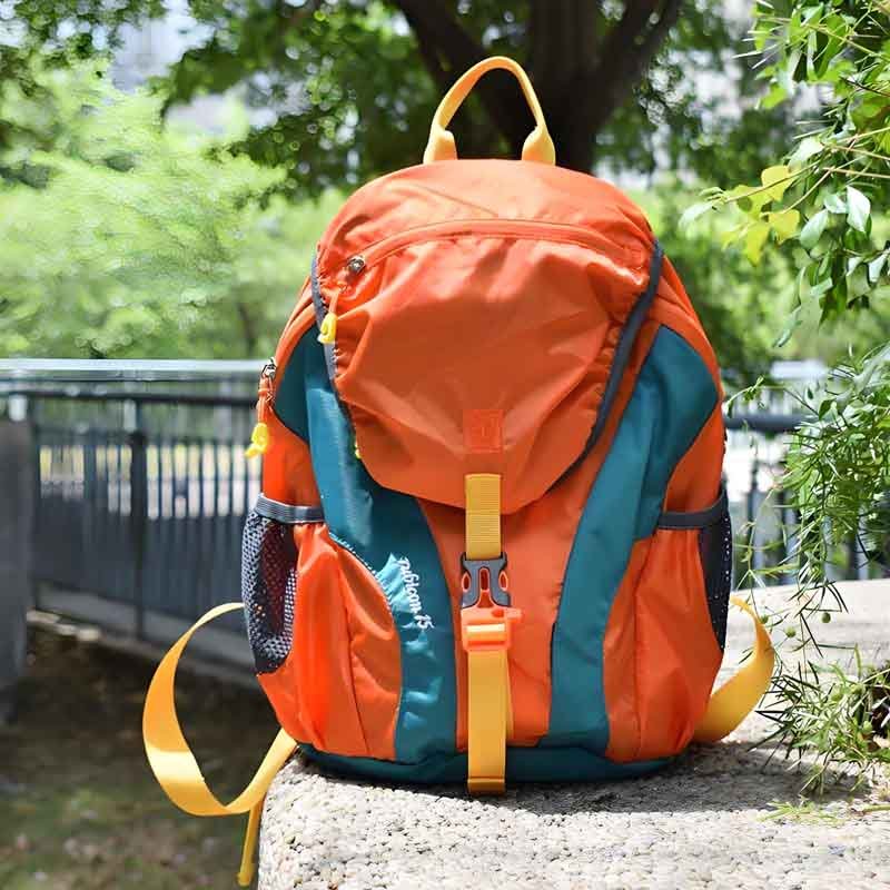 1 what defines a backpack and how has it evolved