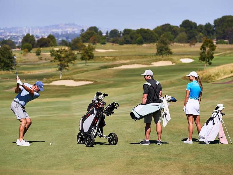 golf cart bag vs stand bag