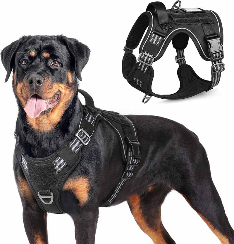 1.what is a dog harness