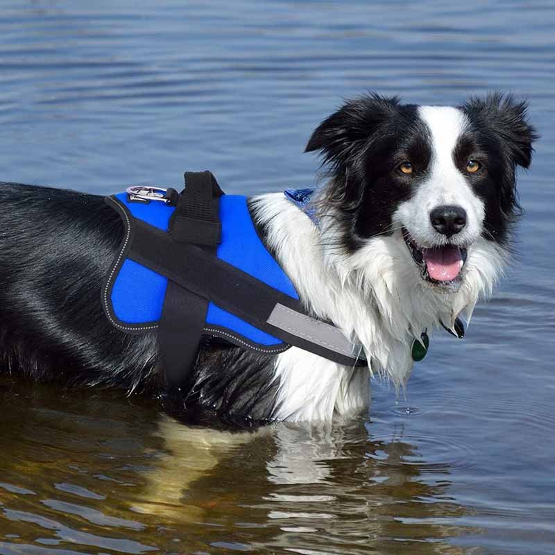 3.is the harness fitted correctly common issues & fixes