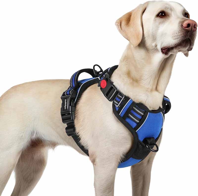 4.do’s and don’ts when using a harness