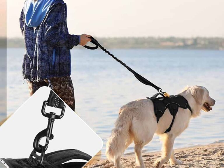 how to put on a dog harness