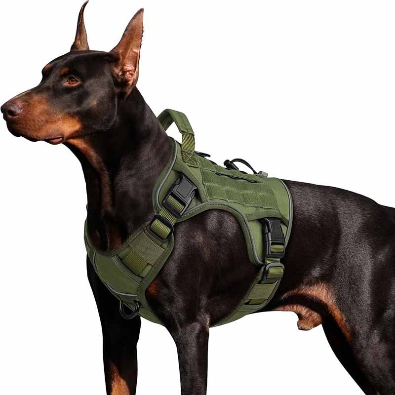 1 what is a dog harness and why make one