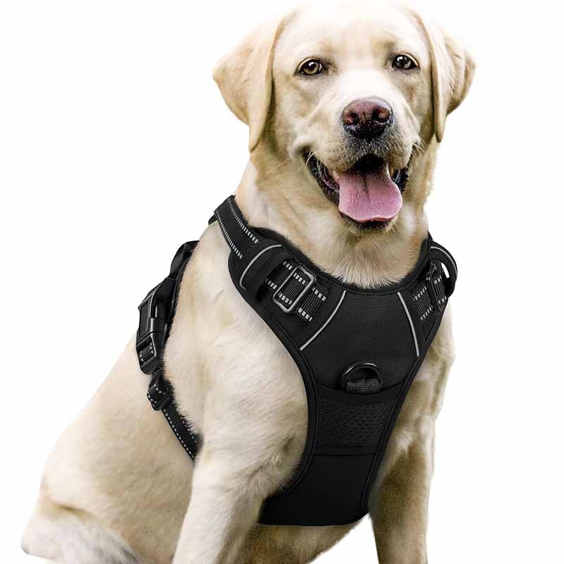 2 which materials are best for making a dog harness
