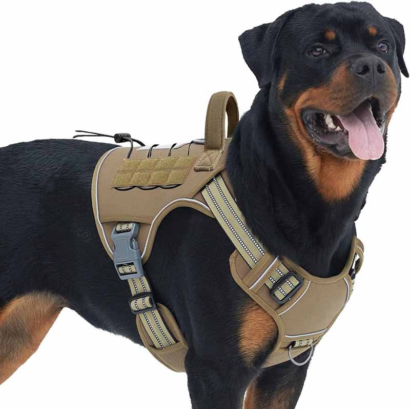 3 how do you measure a dog for a harness