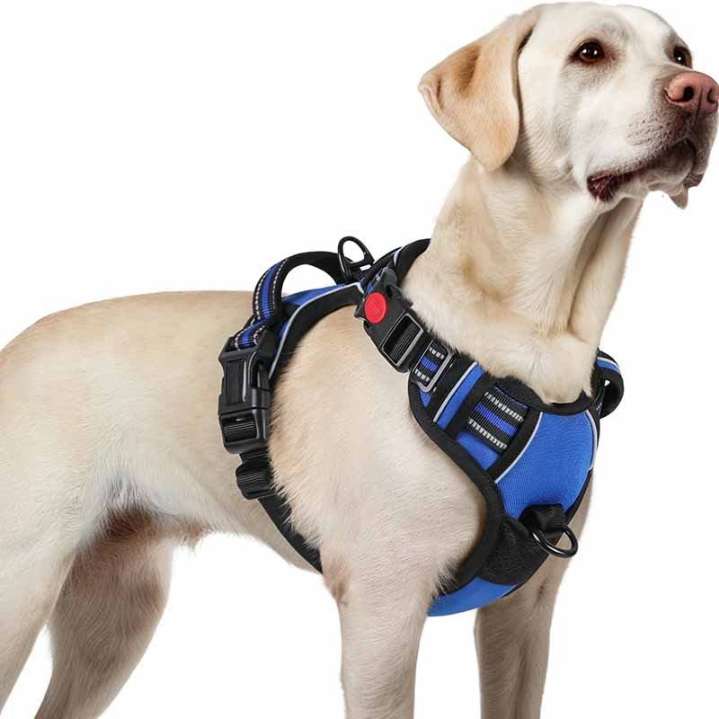 4 how to make a dog harness step by step