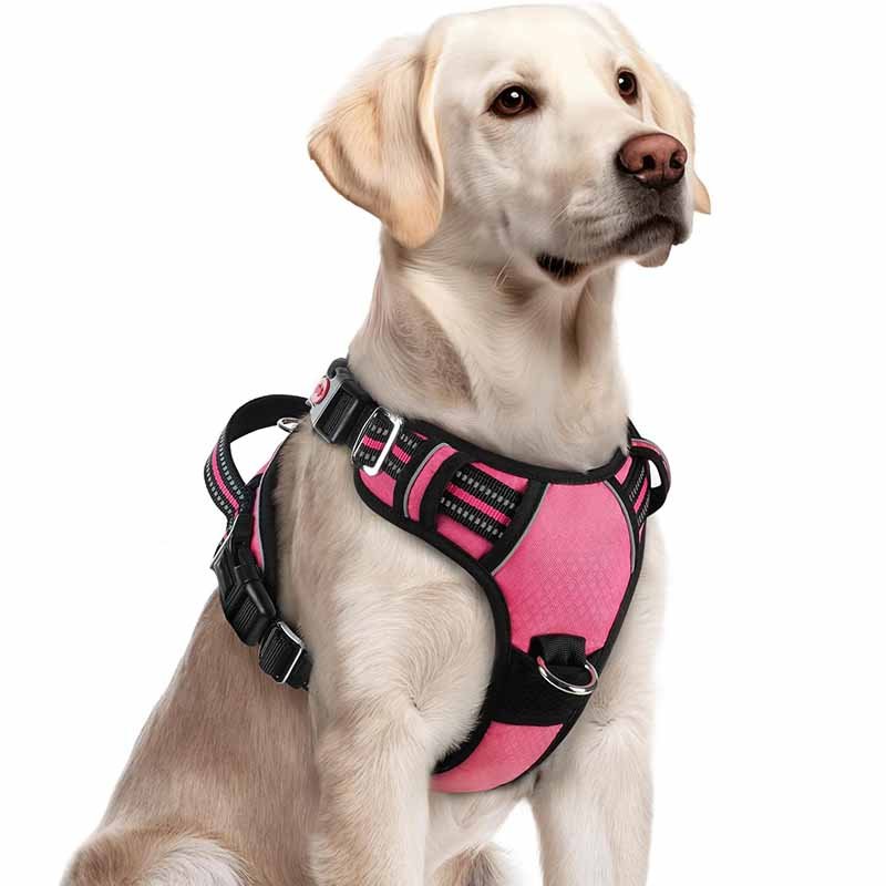 7 are diy dog harnesses safe compared to factory made ones
