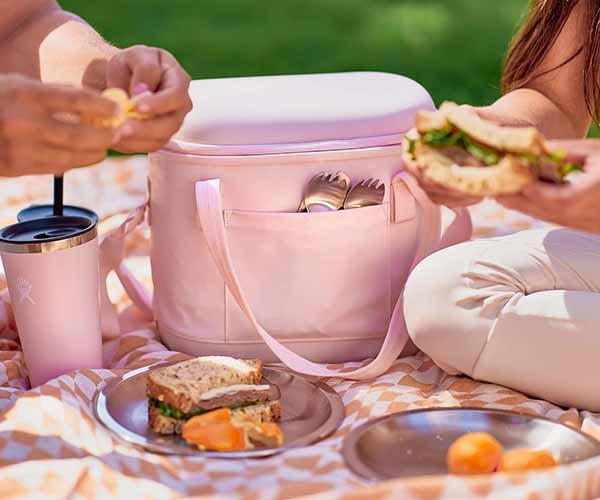 case study 4 — apac promotional program (branded cooler bags)