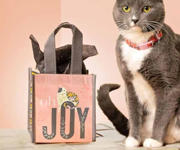2. rpet promotional tote program