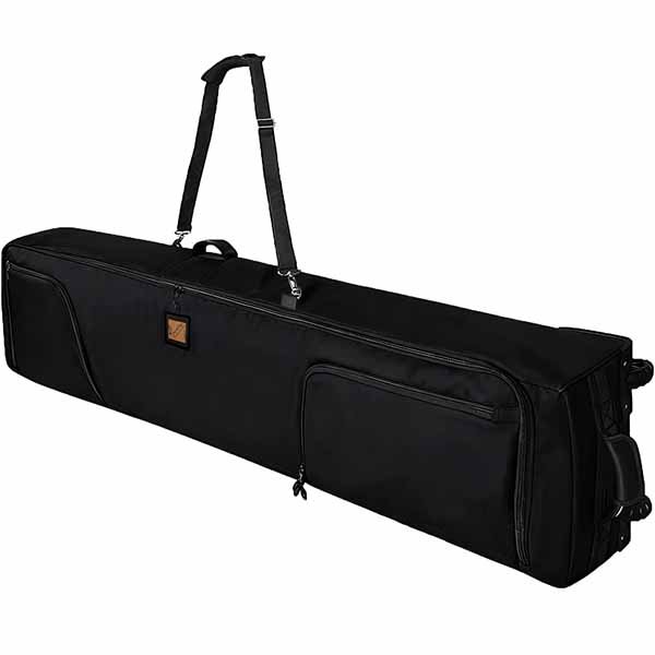2. double ski bags
