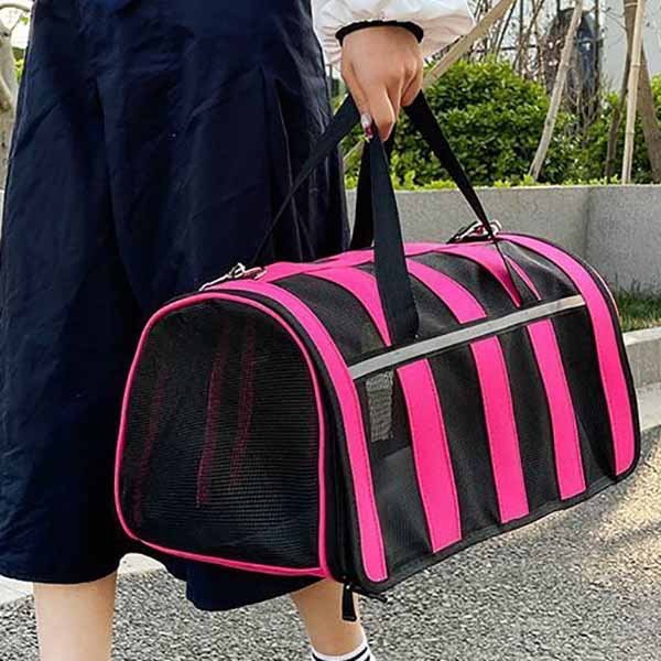 2. pet carrier brand