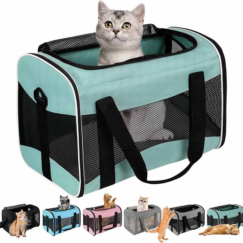 pet travel bag.