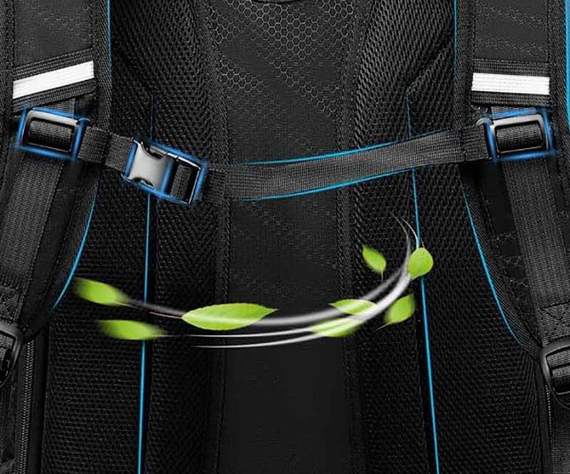 2. webbing and buckles