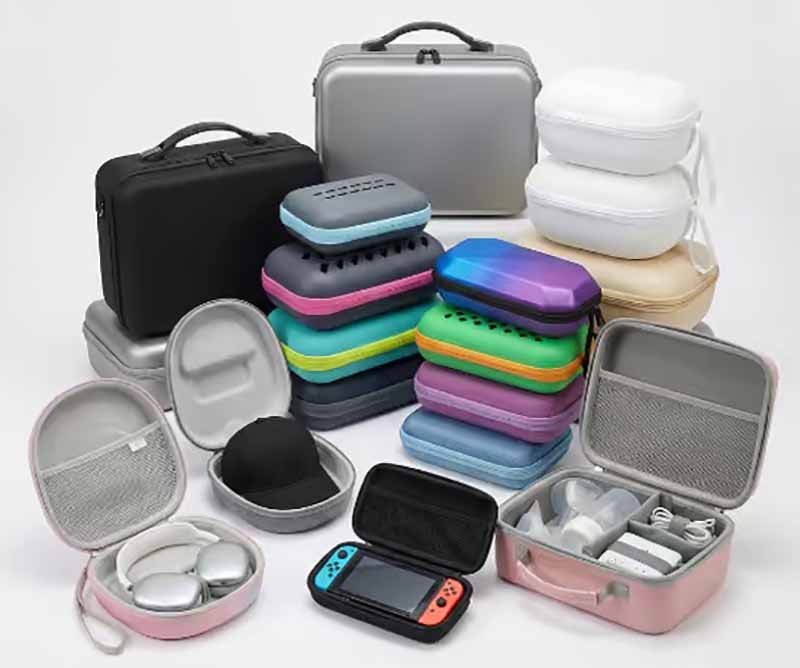 eva case