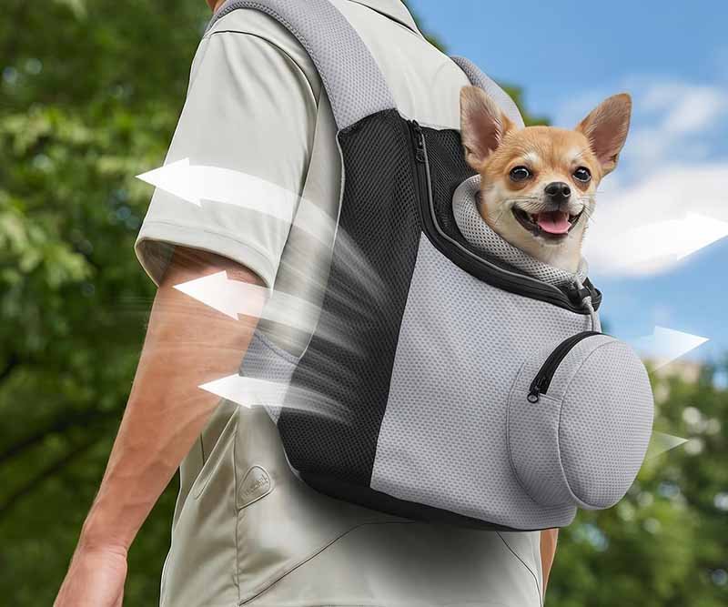 backpack 2