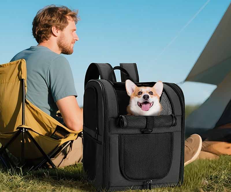 pet bag